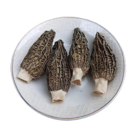 Dried-Morel.png